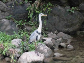 jpeg-optimizer_IMG_0026.JPG jpeg-optimizer_IMG_0026.JPG