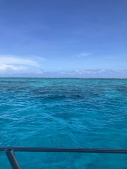 IMG_2378.jpeg IMG_2378.jpeg