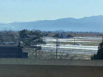 IMG_7013.jpeg IMG_7013.jpeg