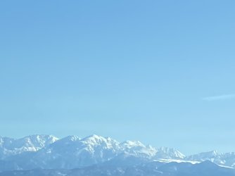 IMG_7029.jpeg IMG_7029.jpeg