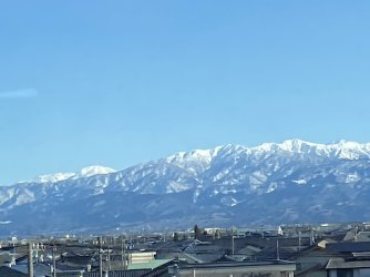 IMG_7038.jpeg IMG_7038.jpeg