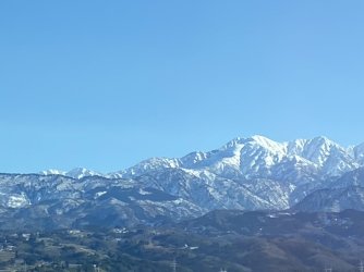 IMG_7043.jpeg IMG_7043.jpeg