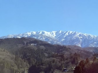 IMG_7063.jpeg IMG_7063.jpeg