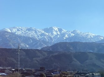 IMG_7083.jpeg IMG_7083.jpeg