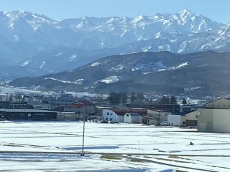 IMG_7095.jpeg IMG_7095.jpeg