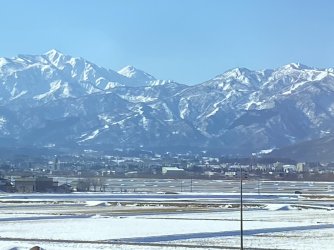 IMG_7101.jpeg IMG_7101.jpeg