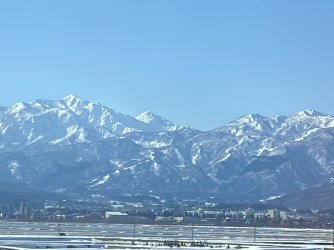 IMG_7100.jpeg IMG_7100.jpeg