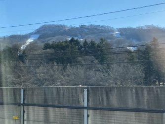 IMG_7121.jpeg IMG_7121.jpeg