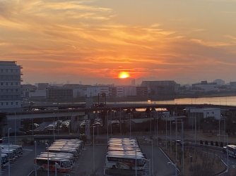 IMG_7137.jpeg IMG_7137.jpeg