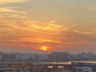 IMG_7141.jpeg IMG_7141.jpeg