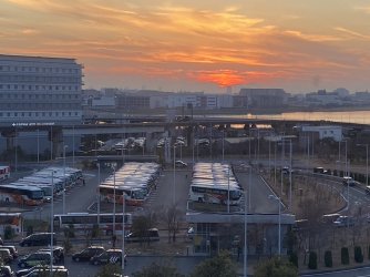 IMG_7144.jpeg IMG_7144.jpeg