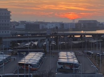 IMG_7145.jpeg IMG_7145.jpeg