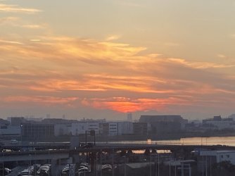 IMG_7147.jpeg IMG_7147.jpeg