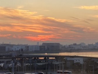 IMG_7150.jpeg IMG_7150.jpeg