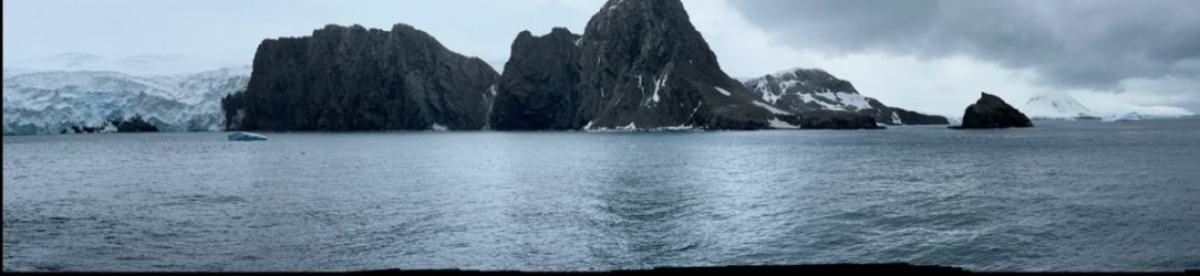 IMG_8627.jpeg IMG_8627.jpeg