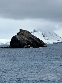 IMG_8636.jpeg IMG_8636.jpeg