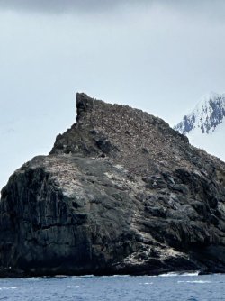 IMG_8637.jpeg IMG_8637.jpeg