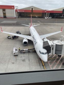 IMG_1104.jpeg IMG_1104.jpeg