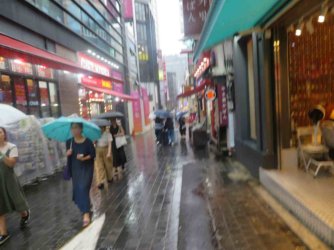 jpeg-optimizer_IMG_0005.JPG jpeg-optimizer_IMG_0005.JPG