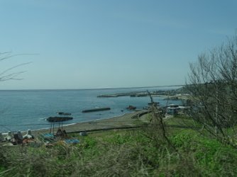 1704202845565.jpeg 1704202845565.jpeg