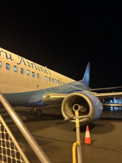 IMG_2397.jpeg IMG_2397.jpeg