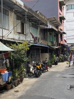 IMG_7264.jpeg IMG_7264.jpeg