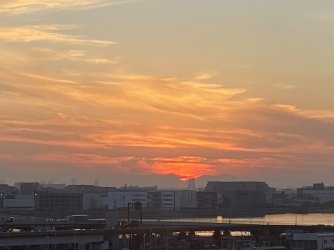 IMG_7143.jpg IMG_7143.jpg