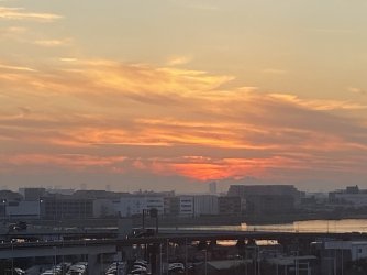 IMG_7149.jpg IMG_7149.jpg