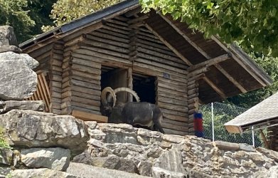 IMG_E0655.JPG IMG_E0655.JPG