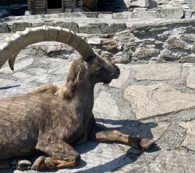 IMG_E0656.JPG IMG_E0656.JPG