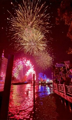 IMG_1962.jpeg IMG_1962.jpeg