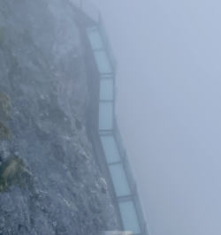 1704595627377.png 1704595627377.png