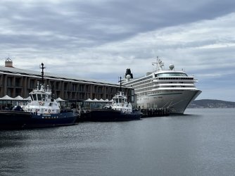 IMG_3602.jpeg IMG_3602.jpeg