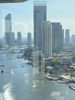 IMG_7319.jpeg IMG_7319.jpeg