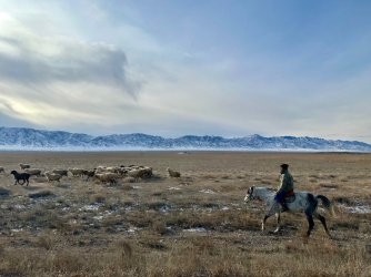 IMG_5500.jpeg IMG_5500.jpeg