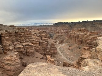 IMG_5568.jpeg IMG_5568.jpeg