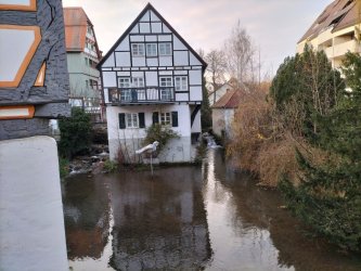ulm124.jpg ulm124.jpg