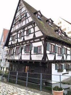 ulm130.jpg ulm130.jpg
