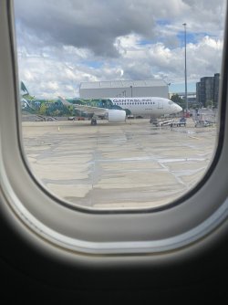 IMG_4874.jpeg IMG_4874.jpeg