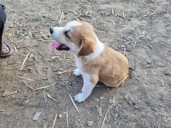 20240108_171815.jpg 20240108_171815.jpg