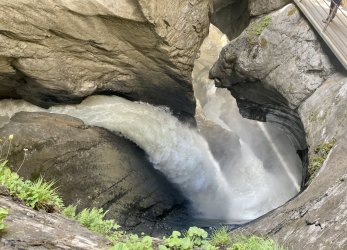 IMG_E0870.JPG IMG_E0870.JPG