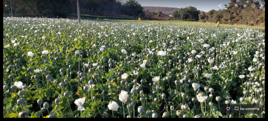 1704796921036.png 1704796921036.png