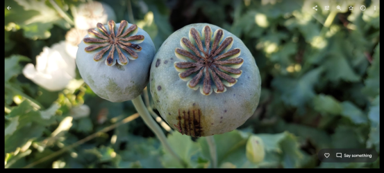 1704796984412.png 1704796984412.png