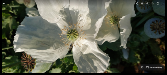 1704797033424.png 1704797033424.png