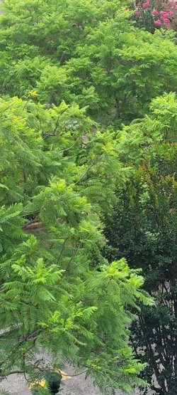 20240110_163824.jpg 20240110_163824.jpg