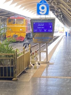 IMG_7377.jpeg IMG_7377.jpeg