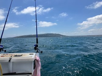 IMG_5893.jpg IMG_5893.jpg