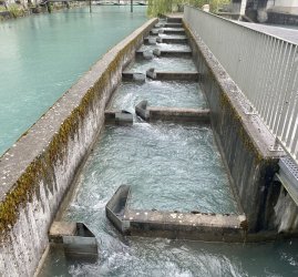 IMG_E0975.JPG IMG_E0975.JPG