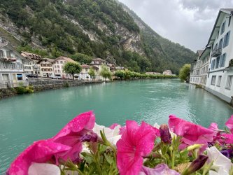 IMG_E0973.JPG IMG_E0973.JPG