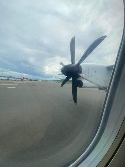 IMG_1131.jpeg IMG_1131.jpeg